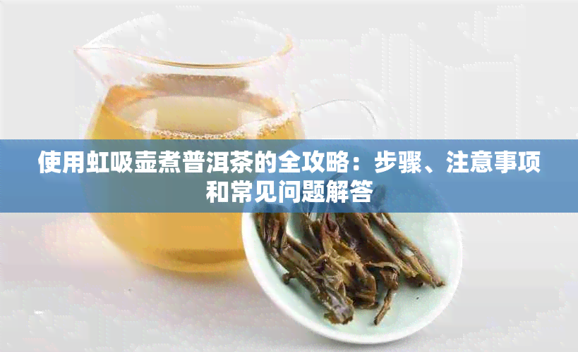 使用虹吸壶煮普洱茶的全攻略：步骤、注意事项和常见问题解答