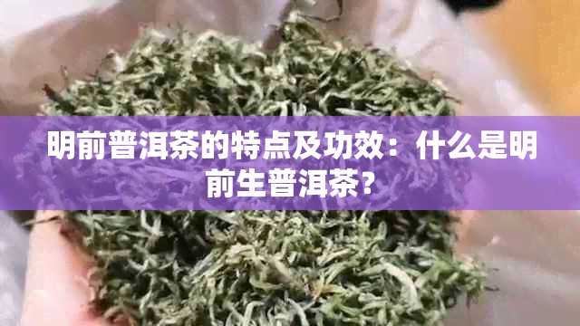 明前普洱茶的特点及功效：什么是明前生普洱茶？