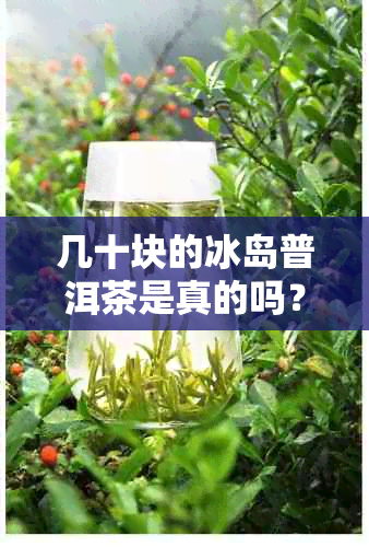 几十块的冰岛普洱茶是真的吗？能喝吗？还是假的？