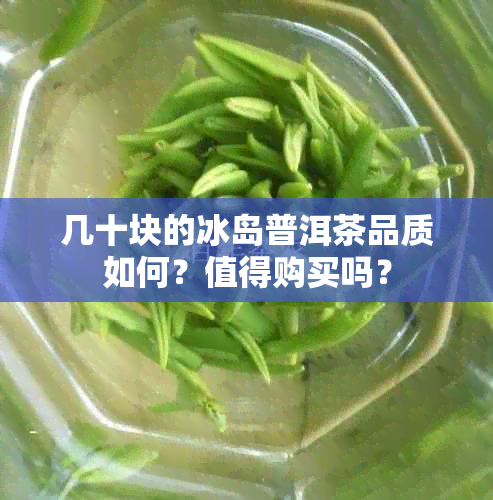 几十块的冰岛普洱茶品质如何？值得购买吗？