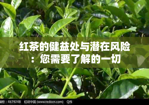 红茶的健益处与潜在风险：您需要了解的一切