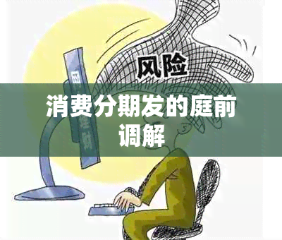 消费分期发的庭前调解