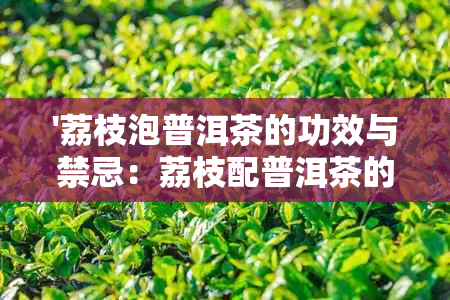 '荔枝泡普洱茶的功效与禁忌：荔枝配普洱茶的奇妙组合及注意事项'