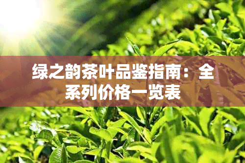 绿之韵茶叶品鉴指南：全系列价格一览表