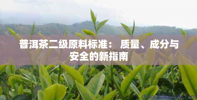 普洱茶二级原料标准： 质量、成分与安全的新指南