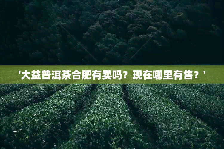 '大益普洱茶合肥有卖吗？现在哪里有售？'