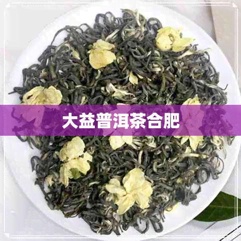 大益普洱茶合肥