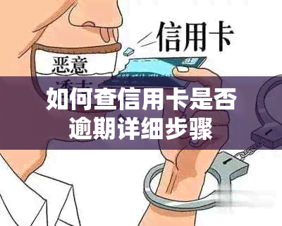 如何查信用卡是否逾期详细步骤