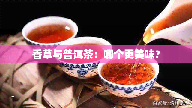 香草与普洱茶：哪个更美味？