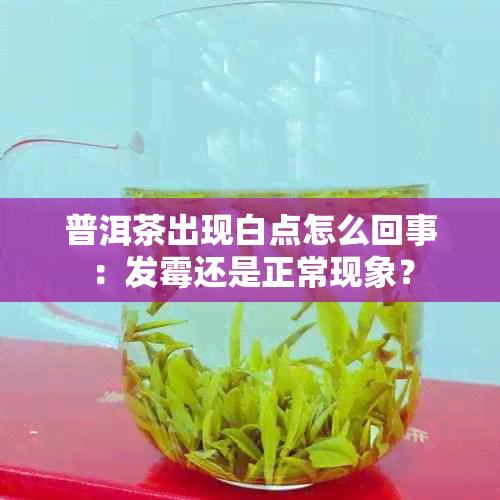 普洱茶出现白点怎么回事：发霉还是正常现象？