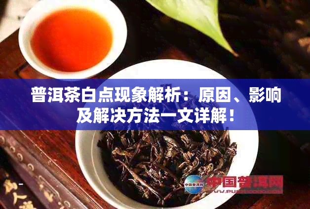 普洱茶白点现象解析：原因、影响及解决方法一文详解！