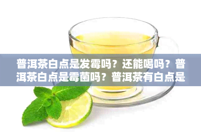 普洱茶白点是发霉吗？还能喝吗？普洱茶白点是霉菌吗？普洱茶有白点是什么？