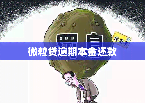 微粒贷逾期本金还款