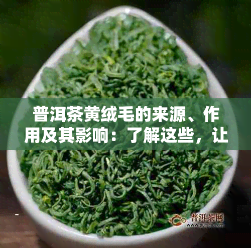 普洱茶黄绒毛的来源、作用及其影响：了解这些，让您更好地享受普洱茶的魅力