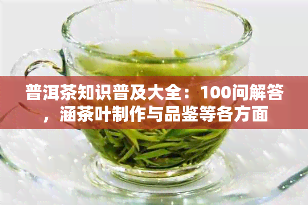 普洱茶知识普及大全：100问解答，涵茶叶制作与品鉴等各方面