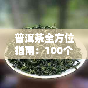 普洱茶全方位指南：100个常见问题解答，让你深入了解普洱茶的奥秘