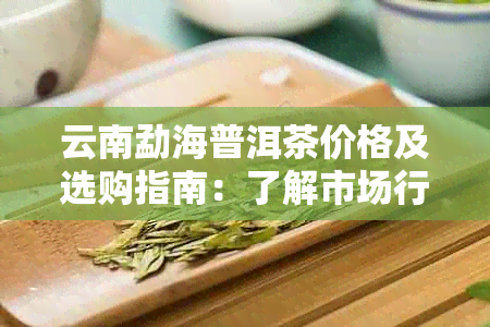 云南勐海普洱茶价格及选购指南：了解市场行情，挑选优质茶叶