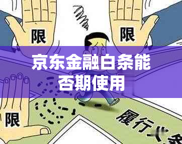 京东金融白条能否期使用