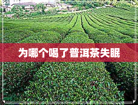 为哪个喝了普洱茶失眠