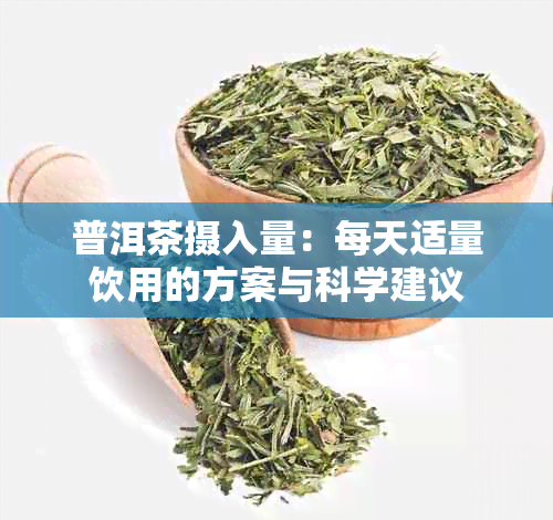 普洱茶摄入量：每天适量饮用的方案与科学建议