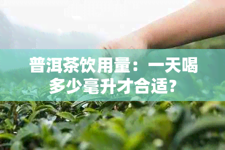 普洱茶饮用量：一天喝多少毫升才合适？