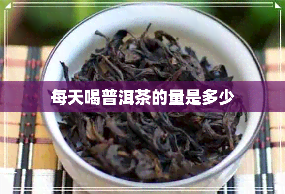 每天喝普洱茶的量是多少