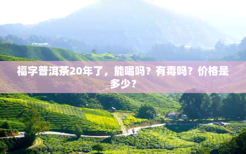 福字普洱茶20年了，能喝吗？有吗？价格是多少？