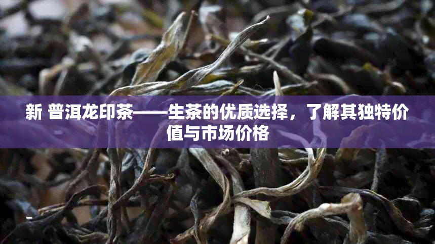 新 普洱龙印茶——生茶的优质选择，了解其独特价值与市场价格