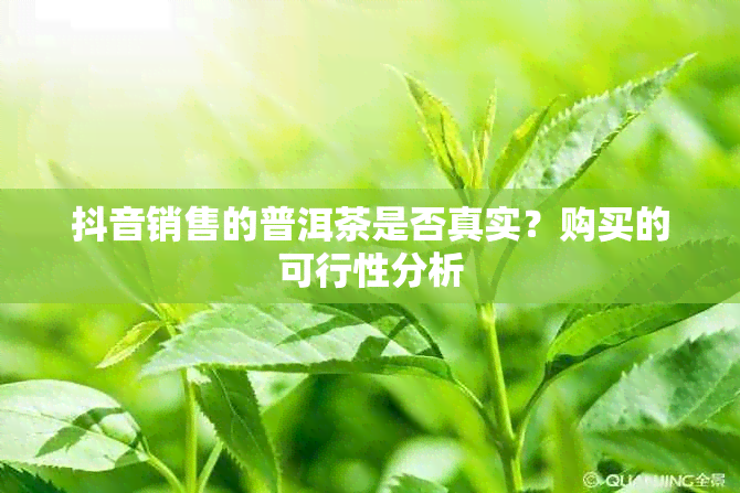 抖音销售的普洱茶是否真实？购买的可行性分析