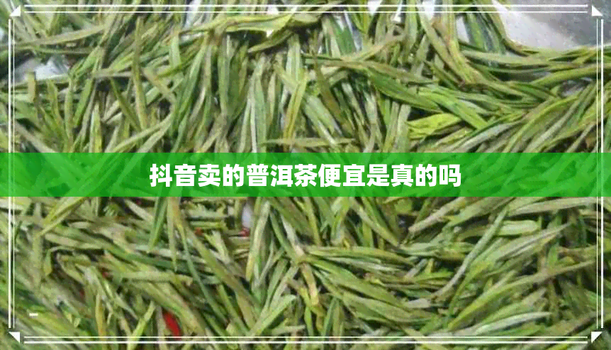 抖音卖的普洱茶便宜是真的吗