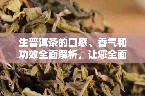 生普洱茶的口感、香气和功效全面解析，让您全面了解这款茶叶的魅力