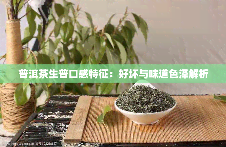 普洱茶生普口感特征：好坏与味道色泽解析