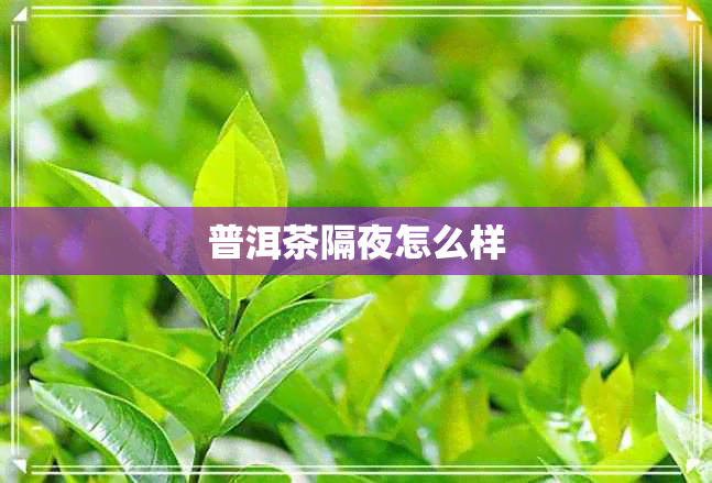 普洱茶隔夜怎么样