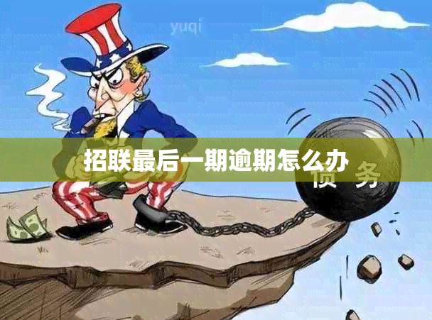 招联最后一期逾期怎么办