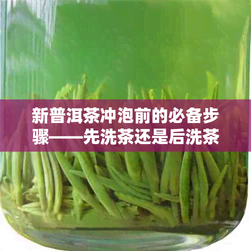 新普洱茶冲泡前的必备步骤——先洗茶还是后洗茶？