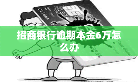 招商银行逾期本金6万怎么办