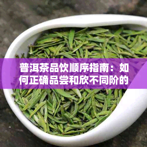 普洱茶品饮顺序指南：如何正确品尝和欣不同阶的普洱茶