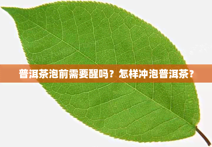 普洱茶泡前需要醒吗？怎样冲泡普洱茶？