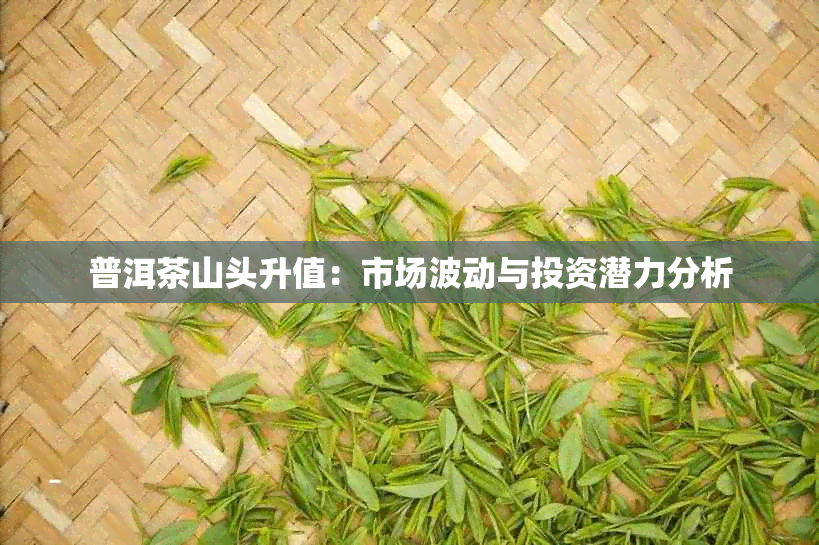 普洱茶山头升值：市场波动与投资潜力分析