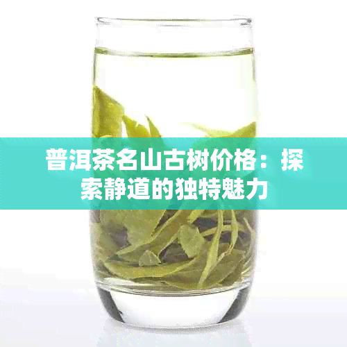 普洱茶名山古树价格：探索静道的独特魅力