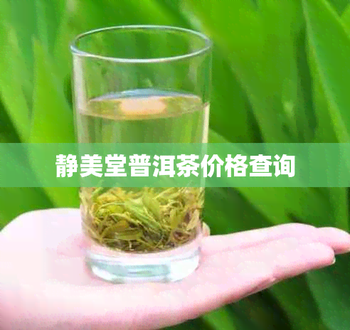 静美堂普洱茶价格查询