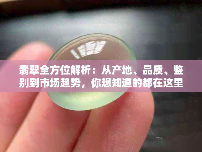 翡翠全方位解析：从产地、品质、鉴别到市场趋势，你想知道的都在这里！