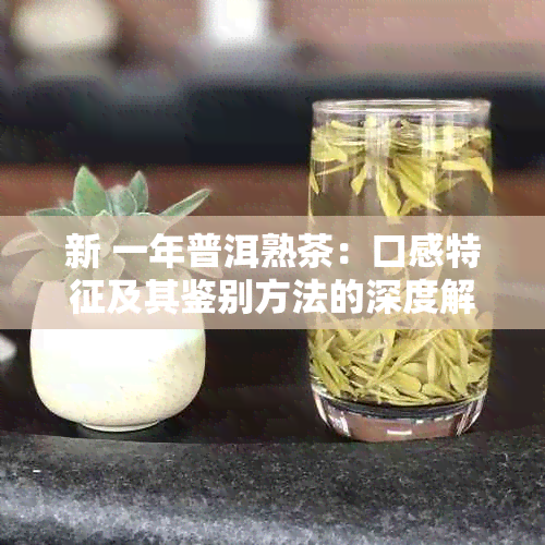 新 一年普洱熟茶：口感特征及其鉴别方法的深度解析