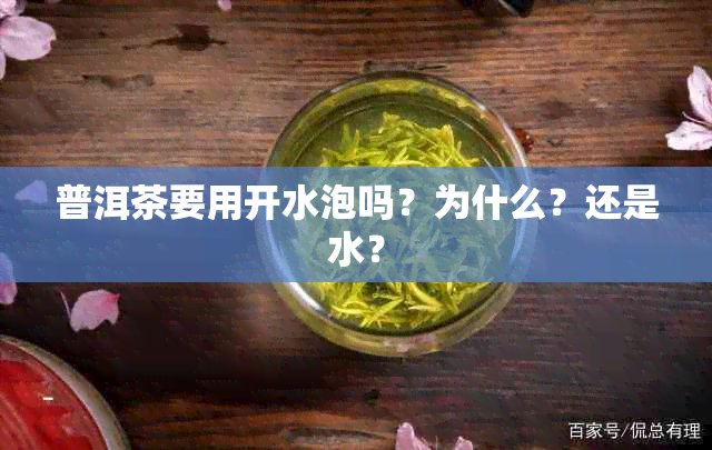 普洱茶要用开水泡吗？为什么？还是水？