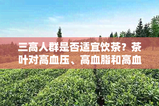 三高人群是否适宜饮茶？茶叶对高血压、高血脂和高血糖患者的影响