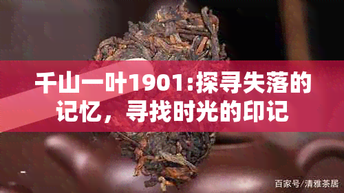 千山一叶1901:探寻失落的记忆，寻找时光的印记