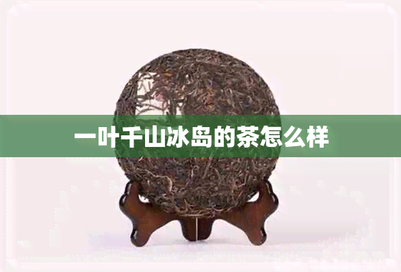 一叶千山冰岛的茶怎么样