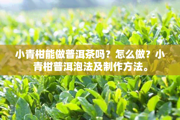 小青柑能做普洱茶吗？怎么做？小青柑普洱泡法及制作方法。