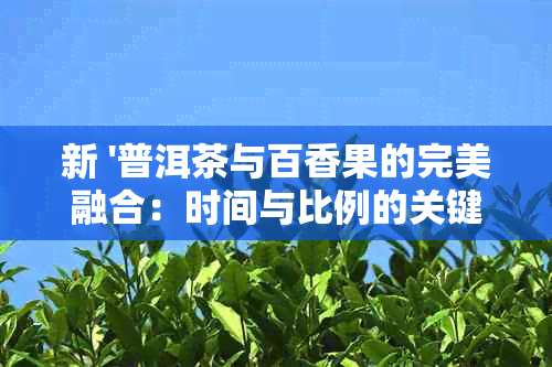 新 '普洱茶与百香果的完美融合：时间与比例的关键'