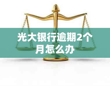 光大银行逾期2个月怎么办